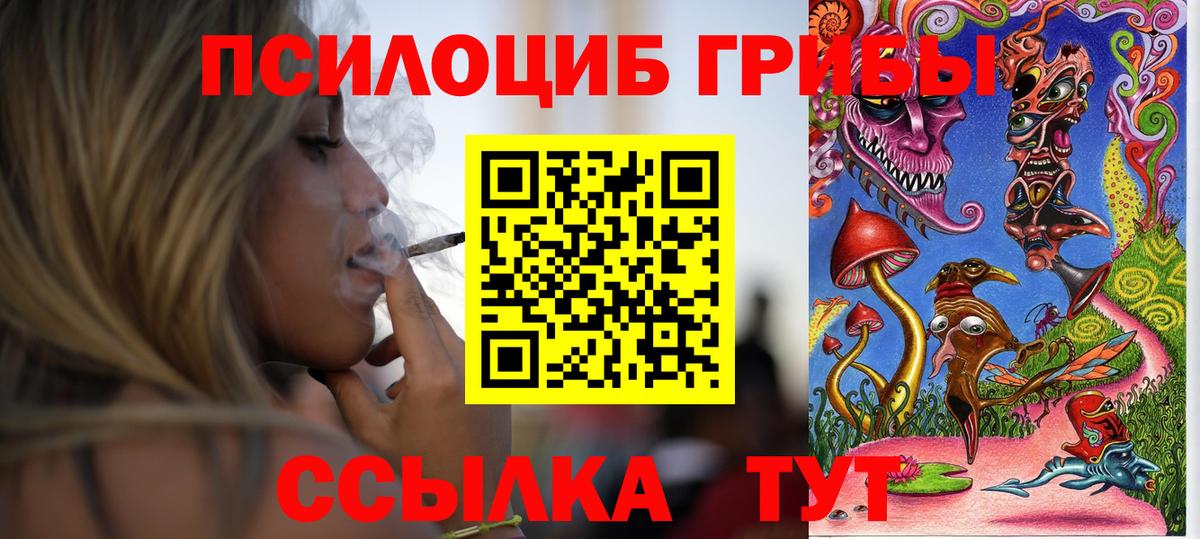 Галлюциногенные грибы Psilocybe Урай