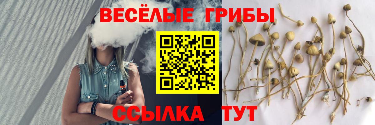 купить   Псилоцибиновые грибы Cubensis  Вход с VPN  Урай 